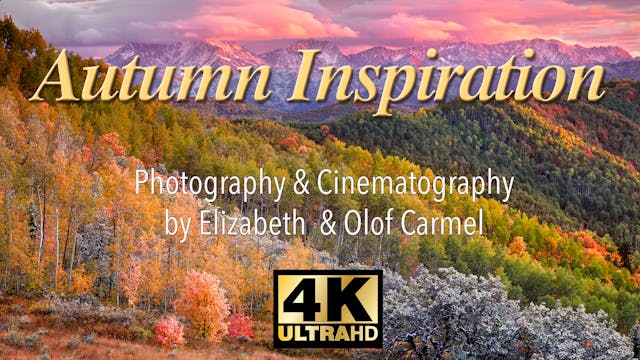 Autumn Inspiration in 4k