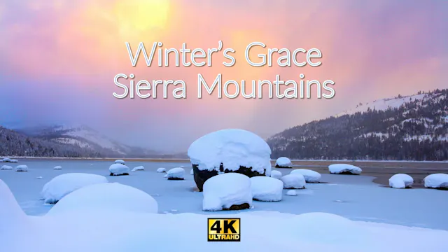 Winter's Grace, Sierra Mountains