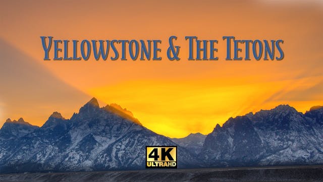 Yellowstone & The Tetons
