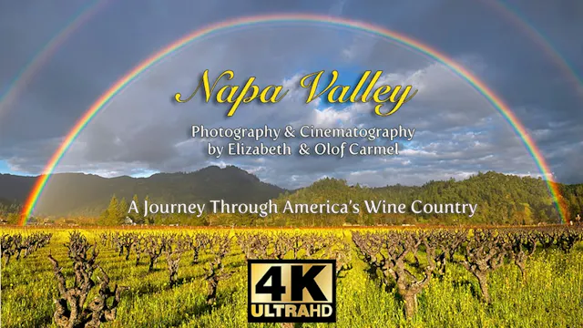 The Napa Valley: America's Wine Country