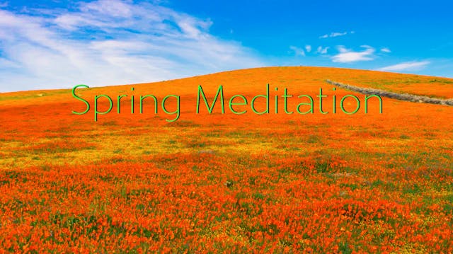 Spring Meditation