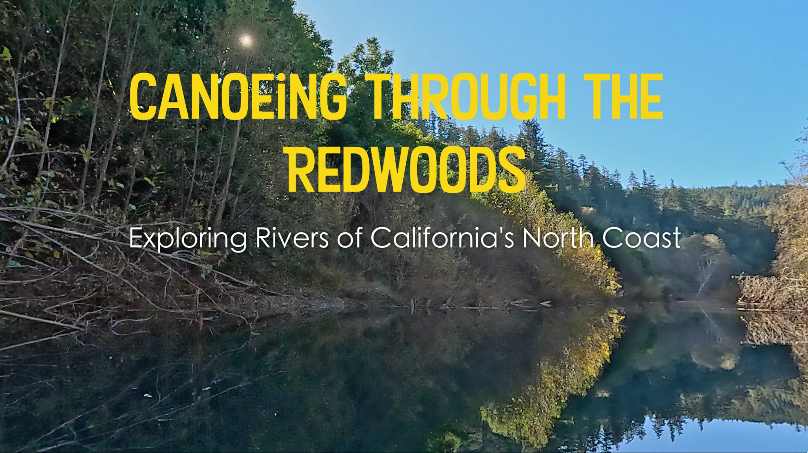 Canoeing Through The Redwoods
