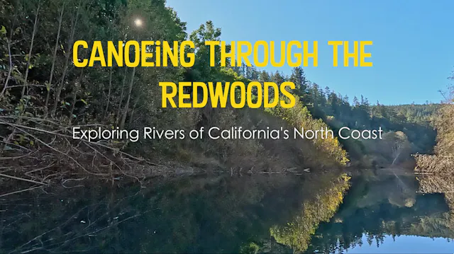 Canoeing Through The Redwoods