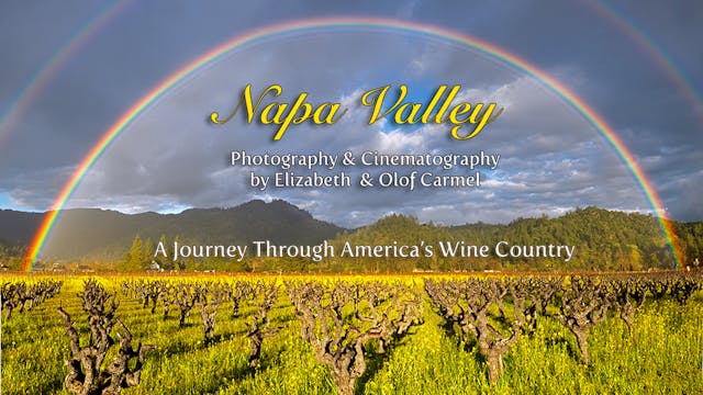The Napa Valley, A Journey through Am...