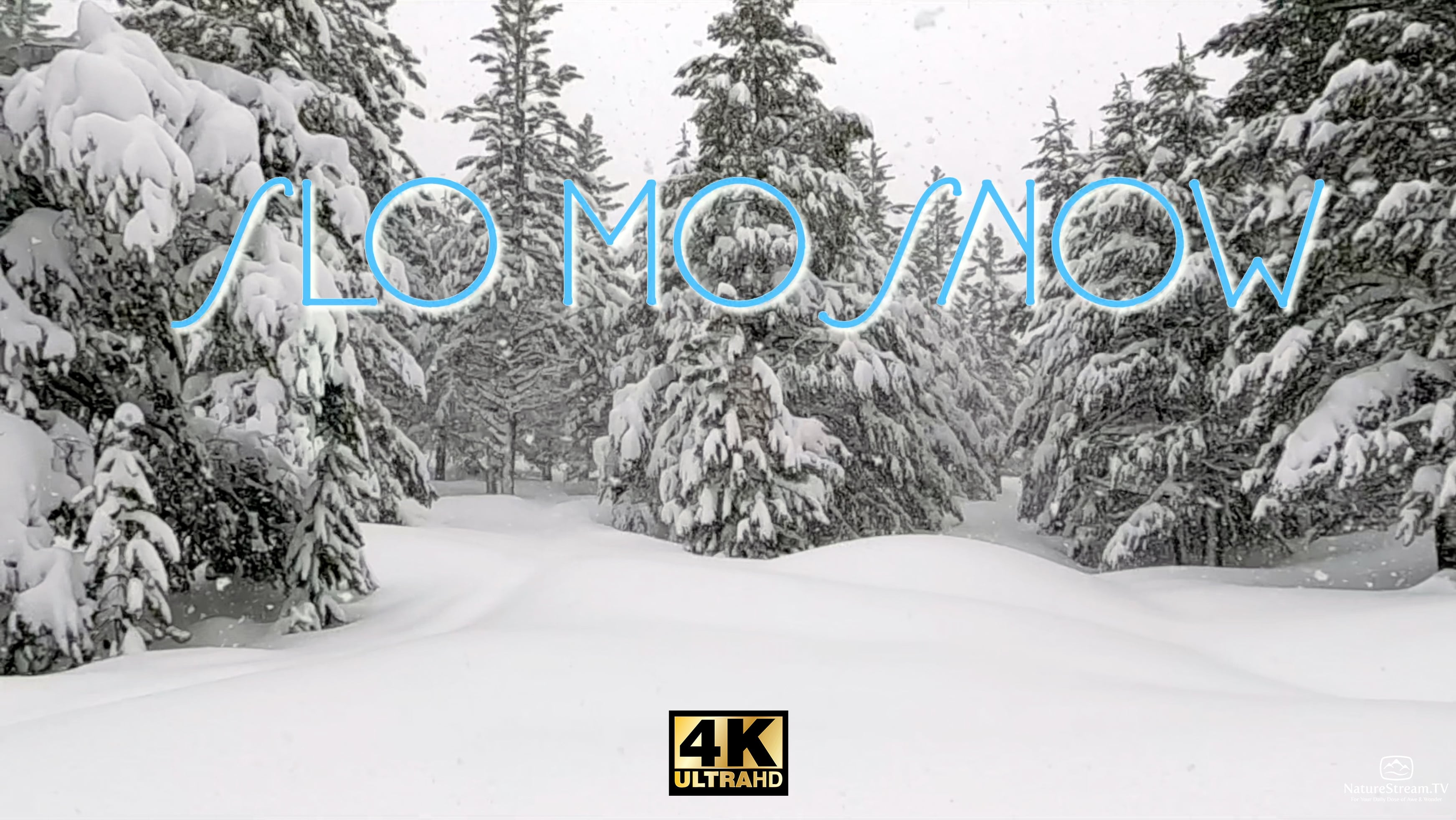 Trailer for Slomo Snow