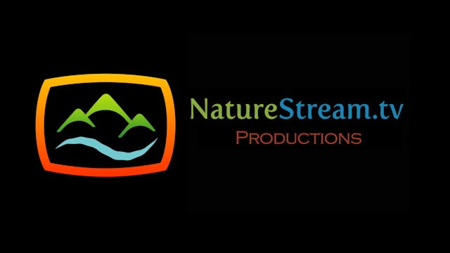 Sequoia & Kings Canyon National Parks