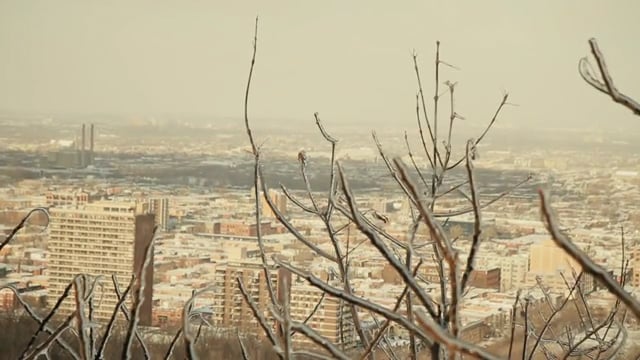 THE MAVENS - MICHEL QUINTAL – Program Director of Igloofest