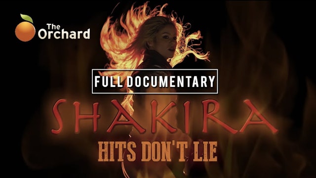 Shakira Hits Don't Lie 
