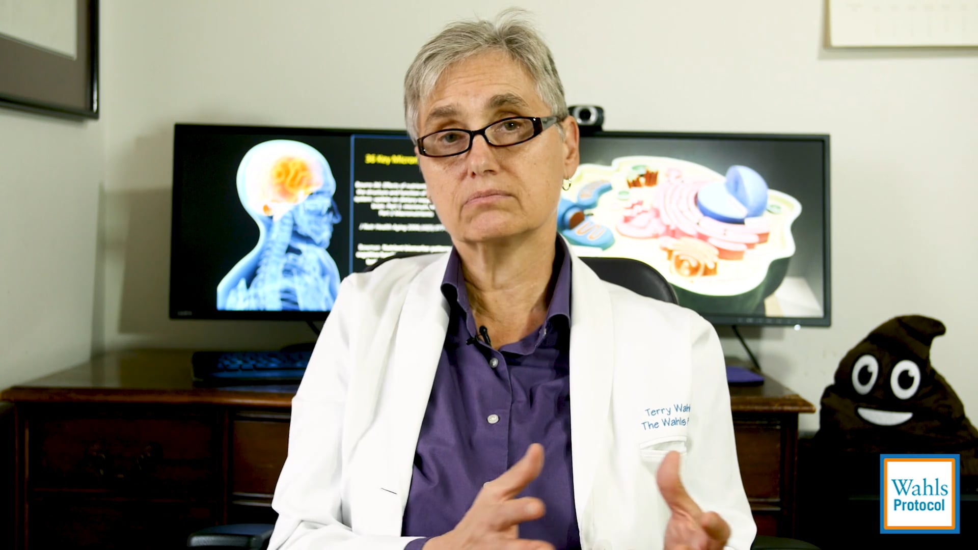 E-Stim and the Wahls Protocol