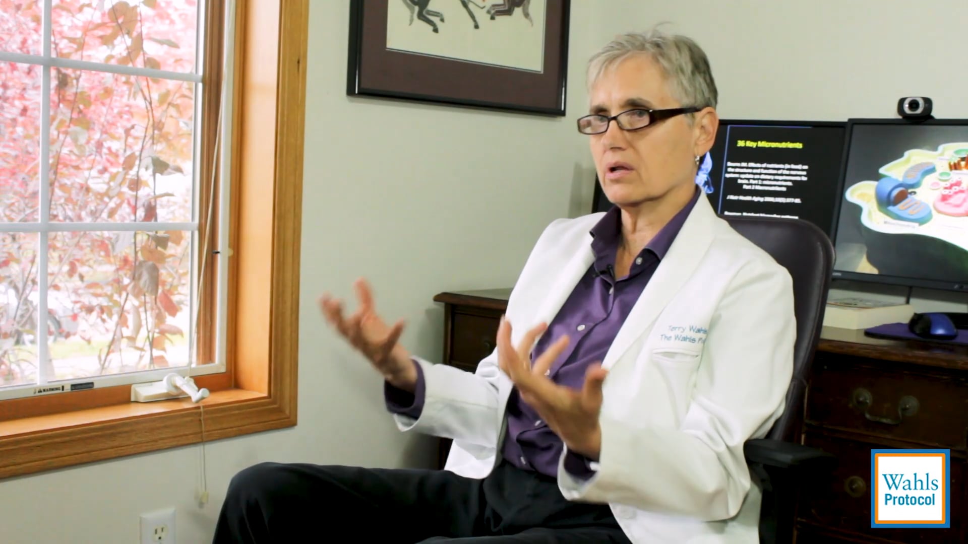 Dr. Wahls Research: From Collaborator Ashu Mangalam