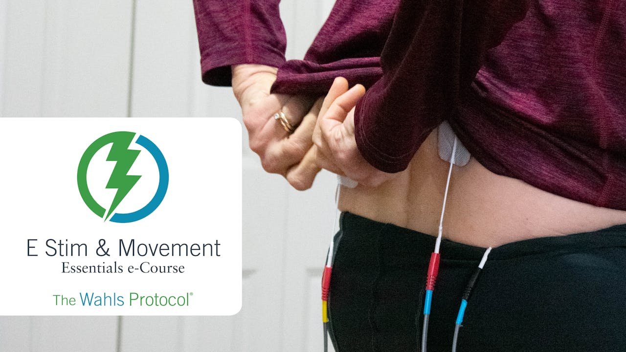 Wahls Protocol E Stim & Movement Essentials Course