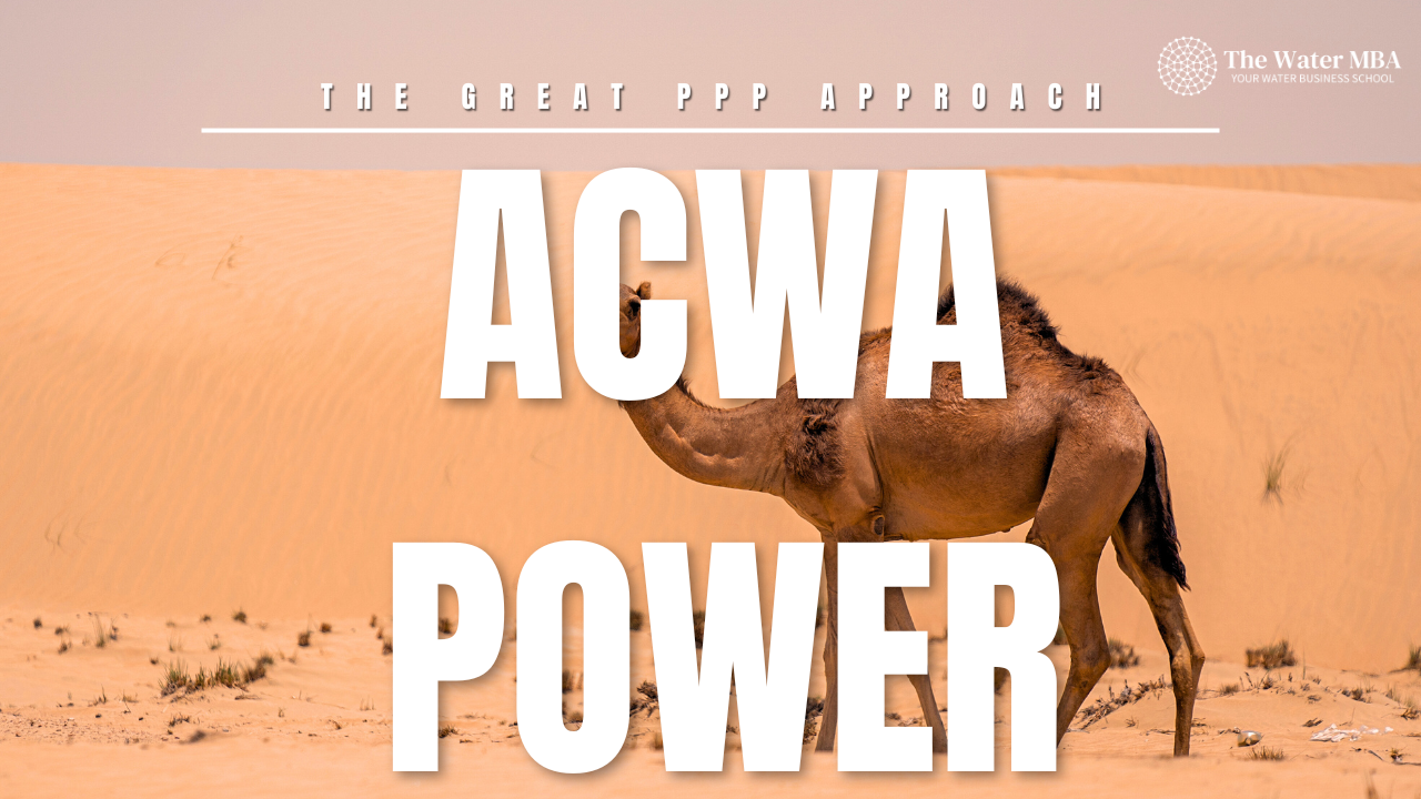 #67 Public–Private Partnerships at Scale: The ACWA Power Business Case