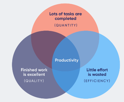 #17 Productivity and Time Management in Business