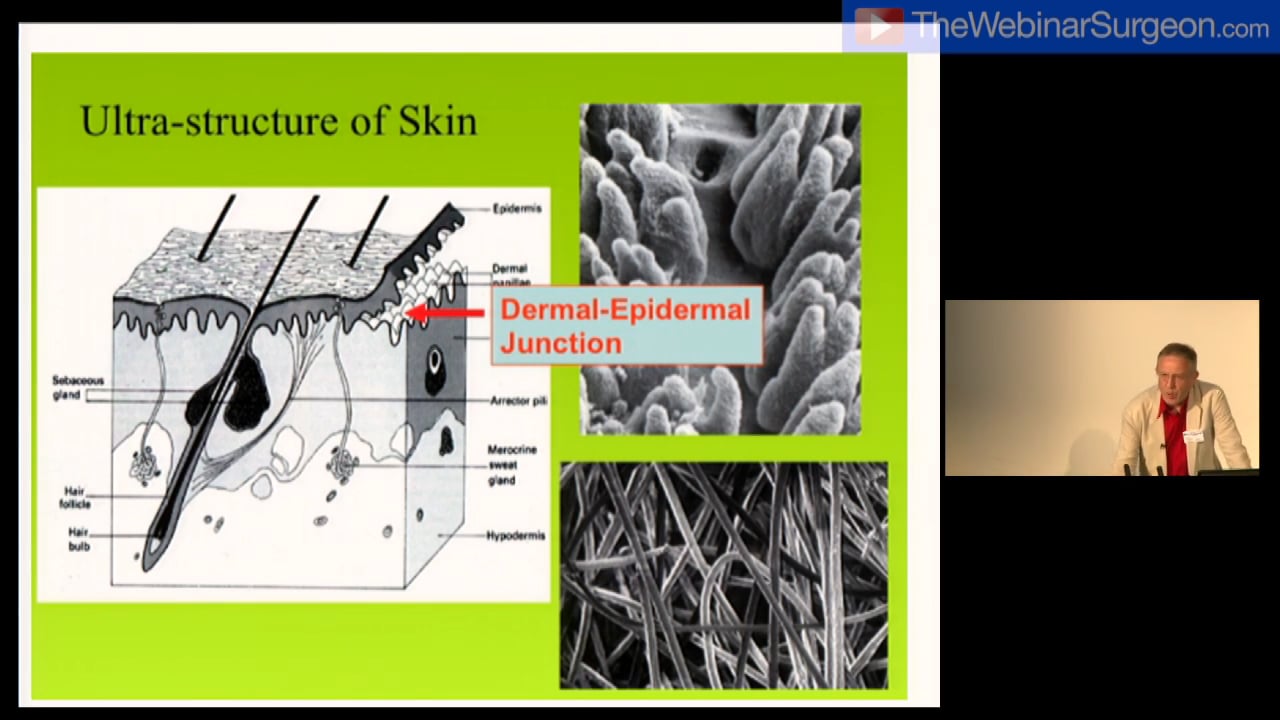 The Future of Facial Reconstruction, Andrew Burd
