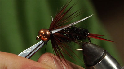 Josh Stanish: Corn Fed Prince Nymph