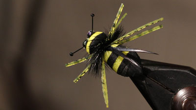 Jesse Riding: Rainy's Bumble Bee