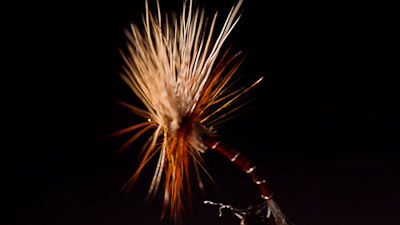 Jerry Criss: TLF Deer Hair Emerger