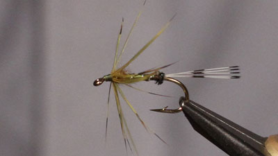 Jerry Criss: Classic Irish Mayfly