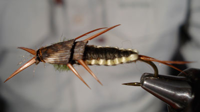 Gary Jones: Woven Stonefly