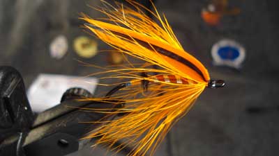 Rocky Maley: Orange Whorehouse