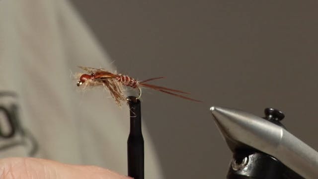 Bob Jacklin Yellowstone Patterns: Mar...