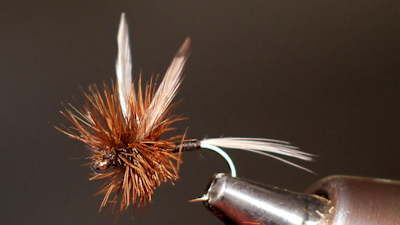 Dean Reiner: Land's Pattern