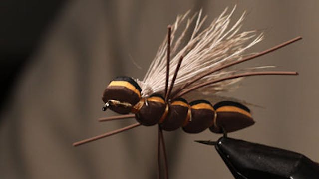 Jesse Riding: Rainy's Gorilla Stone