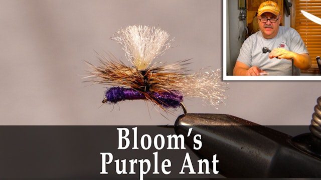 Bloom's Purple Ant - Dave Bloom