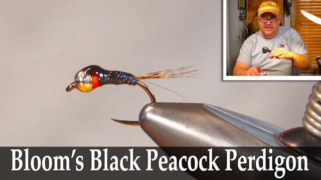 Bloom's Black Peacock Perdigon - Dave Bloom