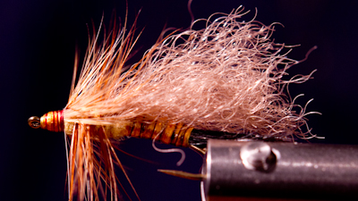 Ken Burkholder: Bear Hair Golden Trude