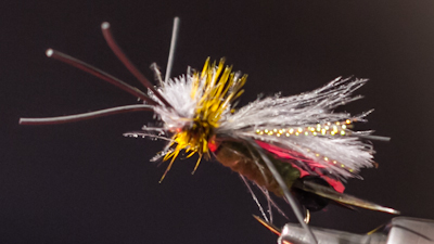 Ben Byng: Skwala Stone Dry Fly