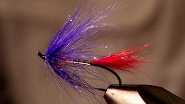 Jerry Criss: TLF Steelhead Magic