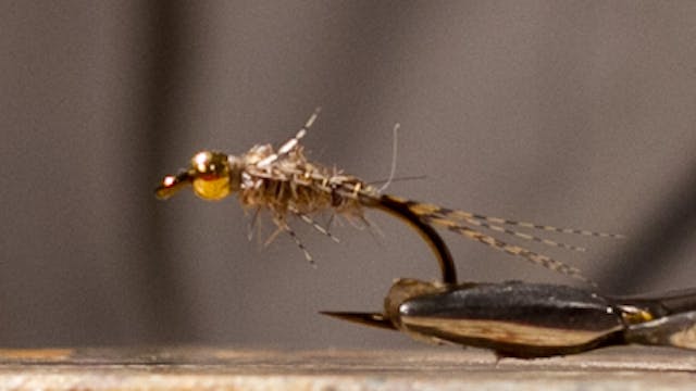 Jerry Criss: Beadhead Calibaetis