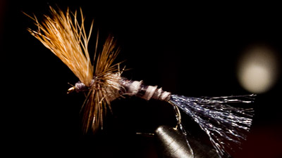 Matt Wilhelm: Grey Drake Cripple