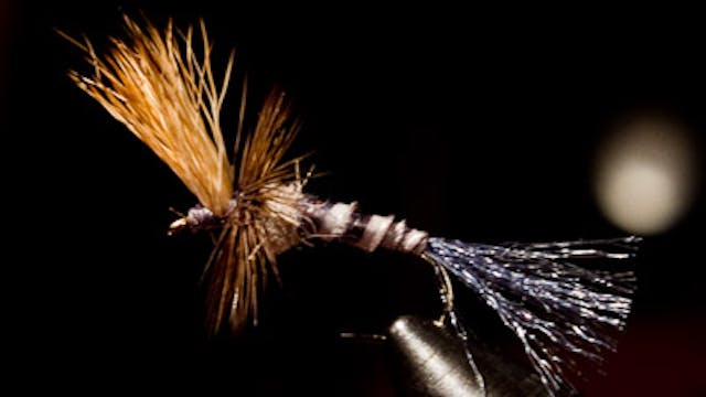 Matt Wilhelm: Grey Drake Cripple