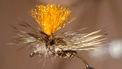 Dave Bloom: Bloom's Parachute Caddis