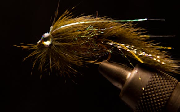 Willy Self: Micro Zonker