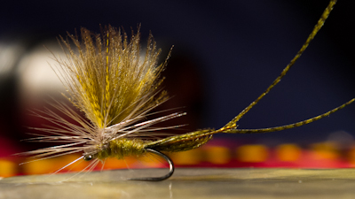 Ben Byng: CDC Green Drake