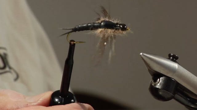 Bob Jacklin Yellowstone Patterns: Sal...