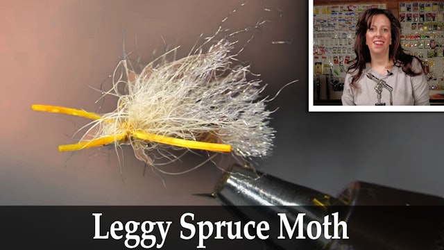 Leggy Spruce Moth - Dandy Reiner