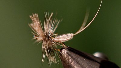 Randy Flynn: The Hatchmatcher