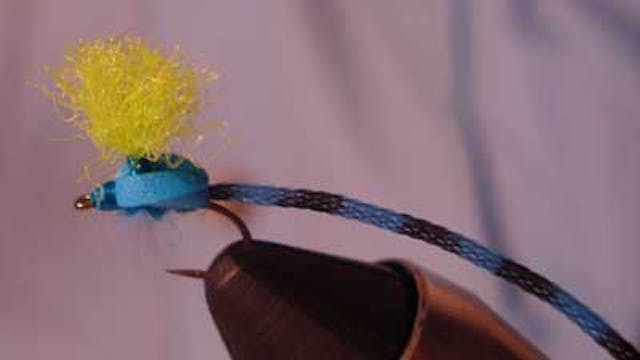 Al Ritt: L2HF Hi-Vis Damsel