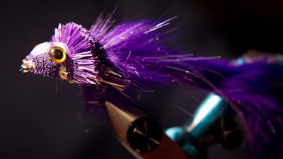 Steve Potter: Dahlberg Rabbit Strip Diver