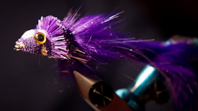 Steve Potter: Dahlberg Rabbit Strip D...