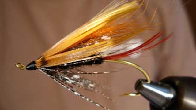 Dave Bloom: Bloom's Black And Gold