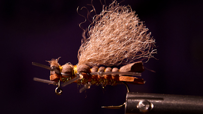 Ken Burkholder: Bear Back Rider