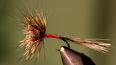 Randy Flynn: Woven Hair Hackle Dry Fly