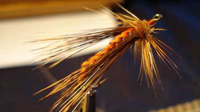 Randy Flynn: Skating Cranefly