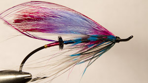 Rocky Maley: Blue Bird Spey