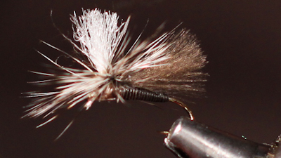Dean Reiner: CDC Parachute Caddis